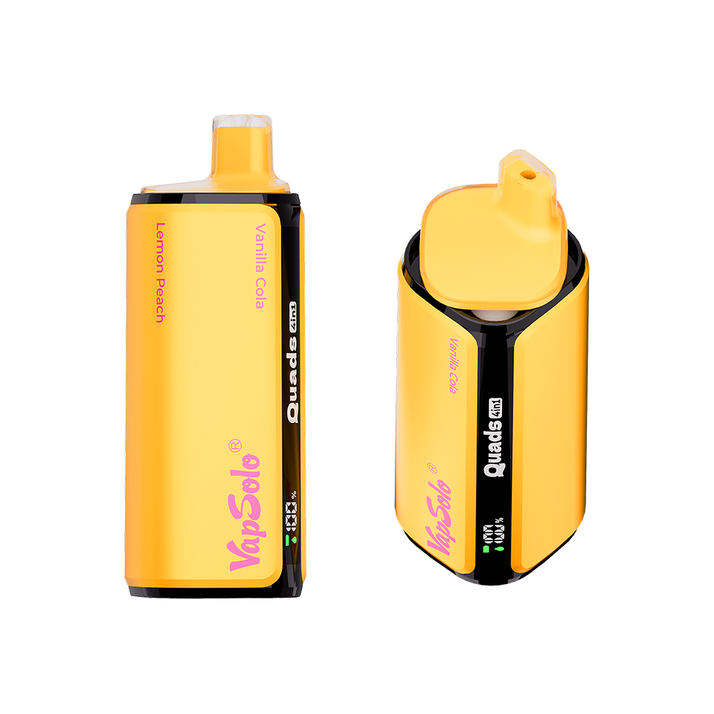 Vapsolo Quads 80K Puff – Frosty Fusion