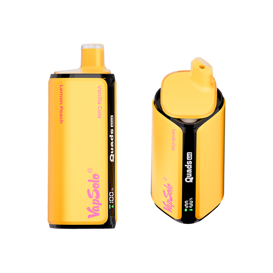 Vapsolo Quads 80K Puff – Frosty Fusion